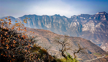 JIUYOU.com����